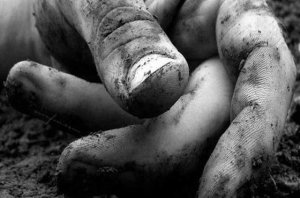 1207125_5b7a0d003e6de41dd97a337e66ef0a27_640x640