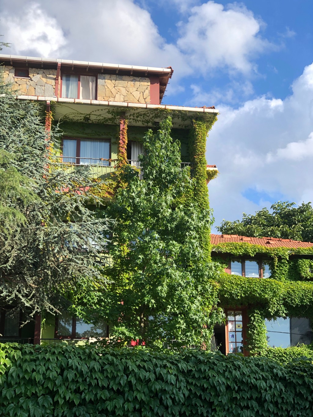 Kaybettikleriniz Kazandıklarınızdır