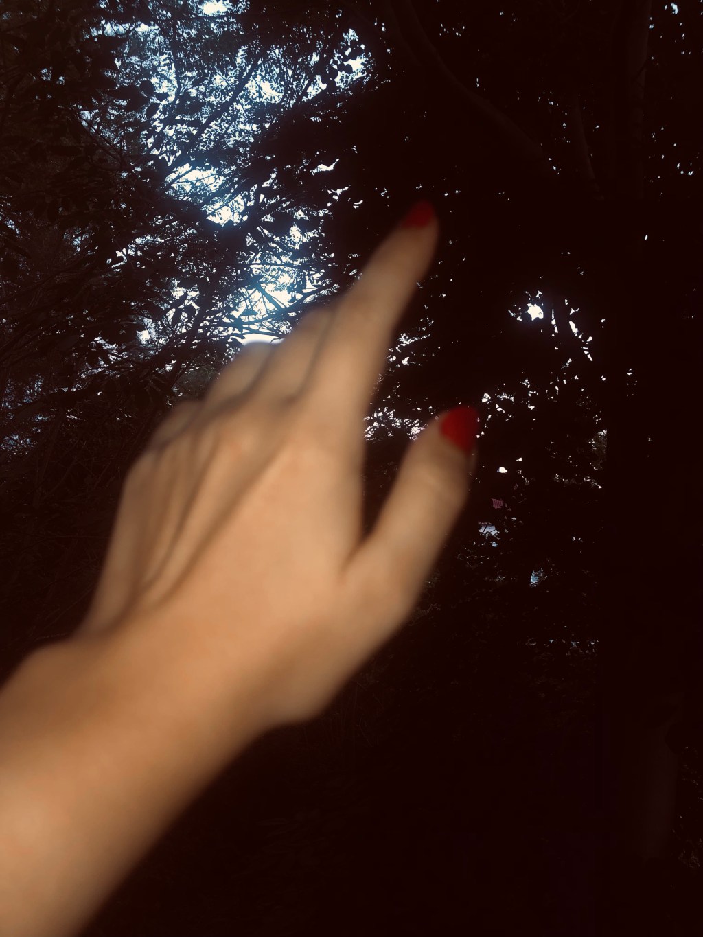 Rüzgârı Hissetmek [Kısa]